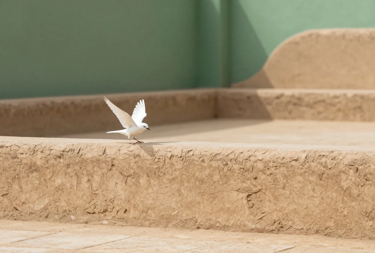 Ein kleiner weißer Vogel fliegt von einer verwitterten Lehmmauer in einem sonnigen Innenhof auf, weiche Schatten